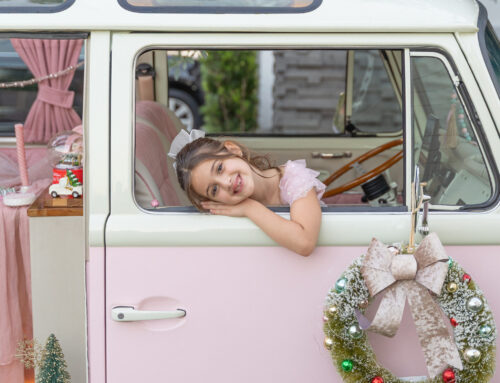 Pink Christmas Edition VW Bus Bay Window